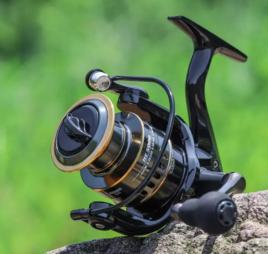 Rods & Reels